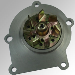 Tata Water Pump
