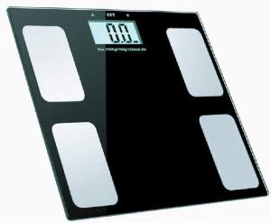 Travel Scale