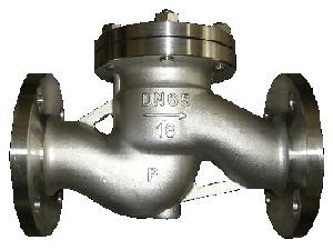 Din Cast Steel Life Check Valve