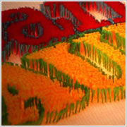 Finest Machine Embroidery