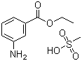 tricaine methanesulfonate