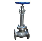 Cryogenic Gate Valve