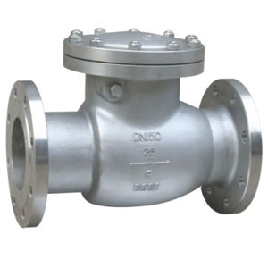 Lift Check Valve