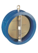 Swing Check Valve