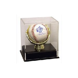 acrylic gold glove baseball case