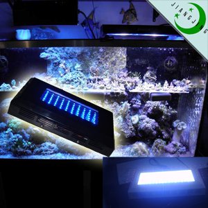 aquarium light