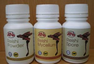 ganoderma lucidum lingzhi mushroom