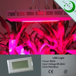 Led 300w 300 Watts Factory Direct Sales New 300w Led Plant Hydroponic Lamp Plant Grow Light