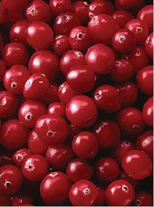 Cranberry P E