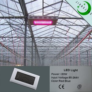 2010 Led Grow Light With Super Harvest Colors New 120w 112lights