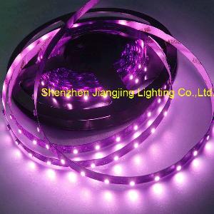 Led Strip Light Smd5050 Waterproof 60pcs / M