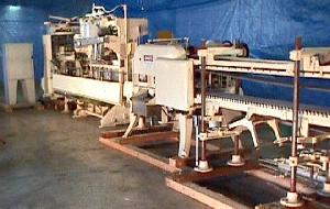 Used Free Flowing Dry Products Filling Line