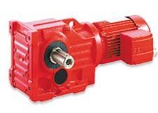 Gear Motor
