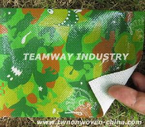 Pp Nonwoven Fabric With Colorful Laminating