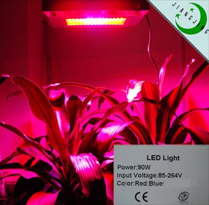 Led Grow Light To Stimulate Plant