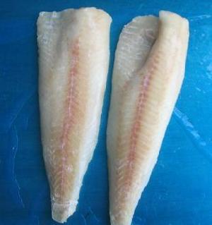 alaska pollock fillet