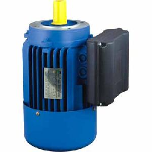 Electric Motor