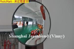 Anti-theft Convex Mirror