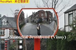 Roundtangular Convex Mirror