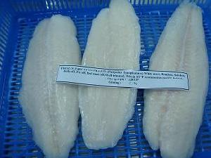 frozen pangasius fish fillets