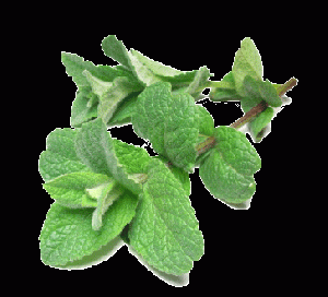 Natural Dementholised Mint Oil