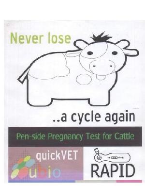Rapid Test Kit For Cattle Pregnancy Diagnosis