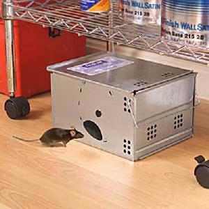 Automatic Mouse Trap