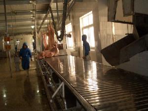 Pig Advanved Slaughter And Abattoir Machine In China