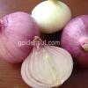 Sell Indian Fresh Onion