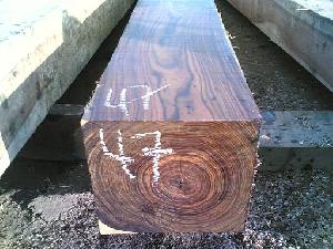 African And Sudamerica, Hardwoods And Softwoods