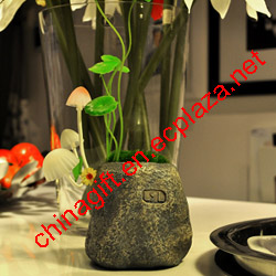 avata mushrooms lamp rock