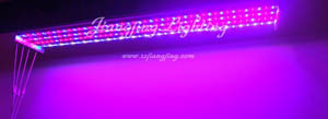 Led Strip Grow Light