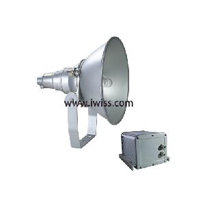 Zy8300 1000w Metal Halogen Lamp