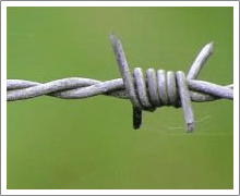 barbed iron wire