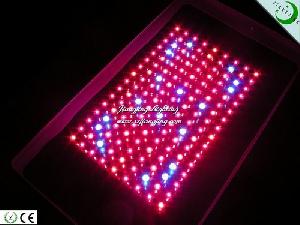 300w High Power Led Plant Grow Light