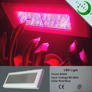 600w Led Grow Lights For Plants Growth