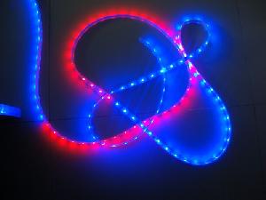 Flexible Digital Dream Color Rgb Led Strip