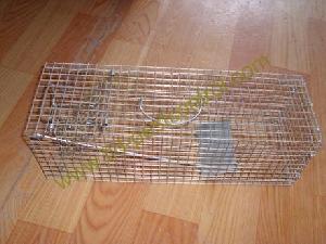 Squirrel Cat Trap Cage Collapsible