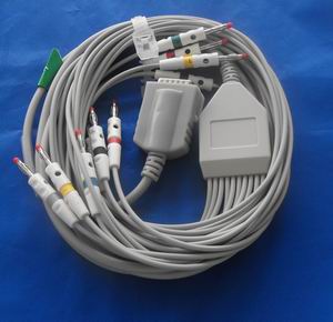 Burdick 12-lead One-piece Ecg Cable And Leadwires