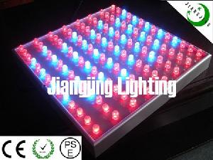 45w Led Plant