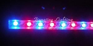 High Power Led Plants Strip Lighting