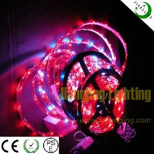 Smd3528 High Bright Flexible Led Strip For Sings 12v Rgb Ip68 Waterproof