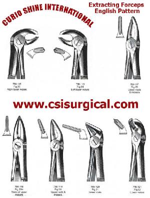 Dental Extracting Forceps English Pattern