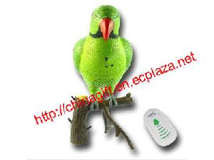 recordable parrot wireless doorbell