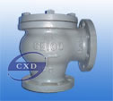 jis marine cast iron lift check angle valve