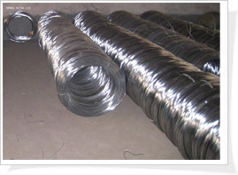 Stainless Steel Welded Mesh, Ss Wire