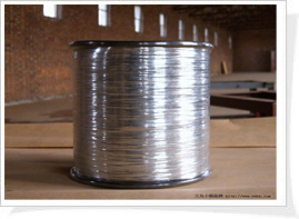 Stainless Steel Wire Used For Hexagonal Wire Netting