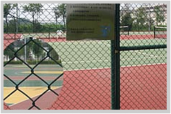 cyclone wire fence diamond mesh plastic sprayed rhombic