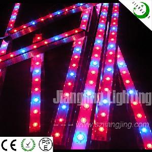 Newest Outdoor Led Grow Light