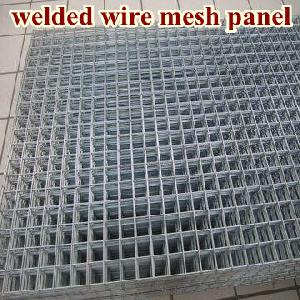 Welded Wire Mesh Panel For Importers